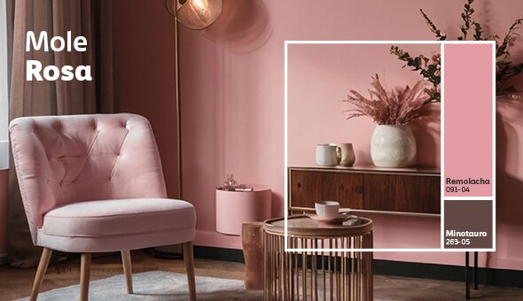 Paleta Mole Rosa