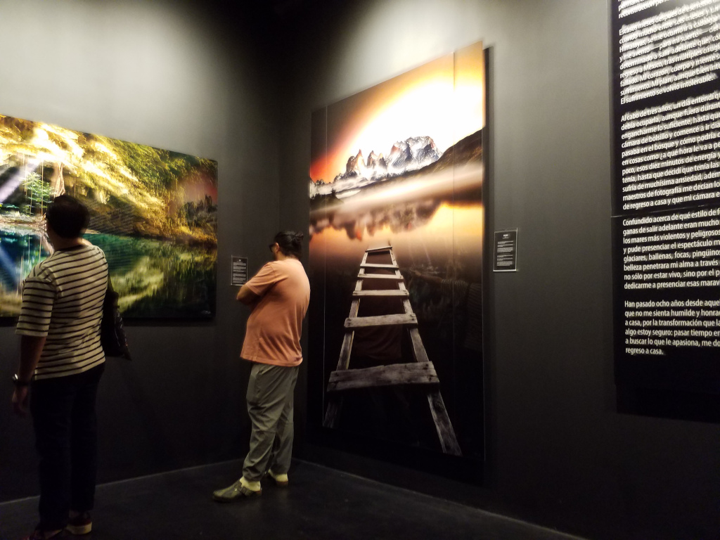 Recorrido por la exhibición