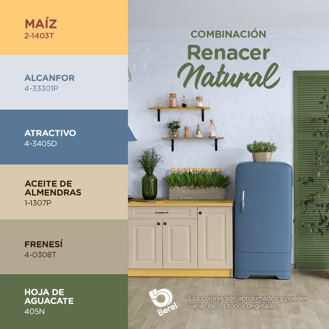 Paleta Renacer Natural