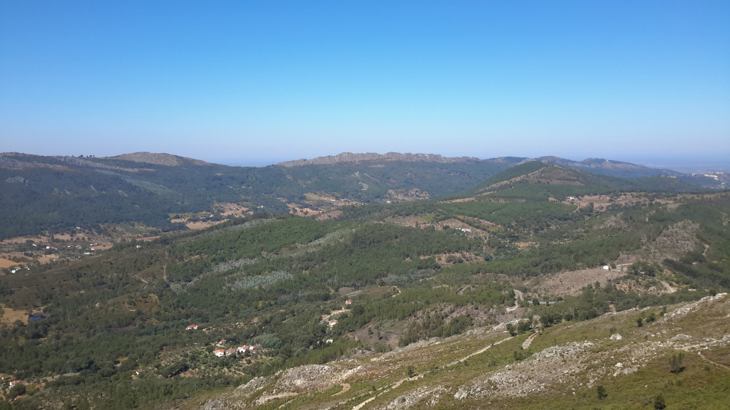 Vista panorámica